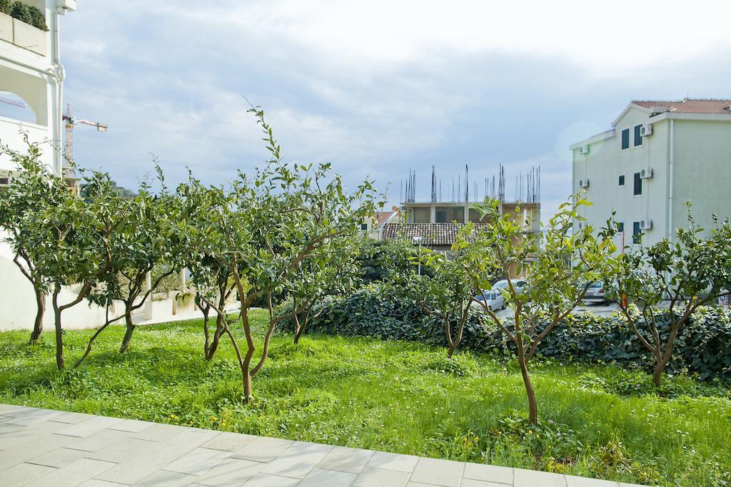 Apartments Mandarina Garden Petrovac Rum bild